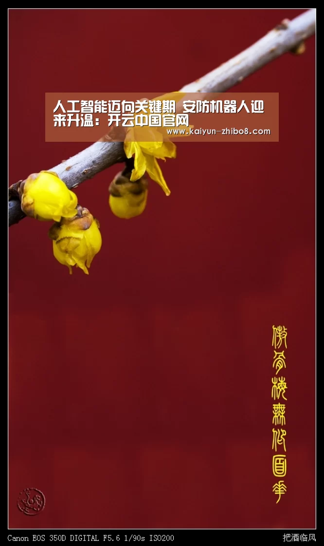 人工智能迈向关键期 安防机器人迎来升温:开云中国官网(图1) 开云综合服务